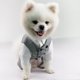 thumbnail image 2 of Esmoquin formal para perro, conjunto de disfraz y pañuelo para camisa de boda con pajarita, ropa elegante para perro, esmoquin para boda, fiesta, festival, Halloween, Navidad (gris S), 2 of 5