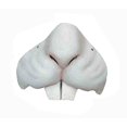 thumbnail image 2 of Easter Bunny Animal Nose Costume Accessory Mask, 2 of 3
