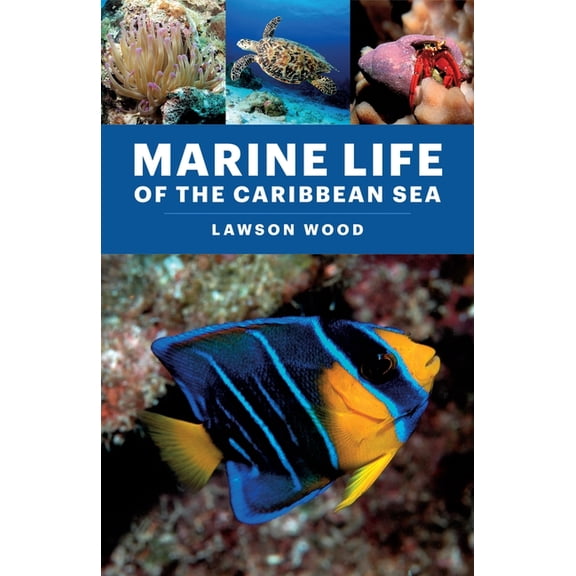 Marine Life of the Caribbean Sea, (Paperback)