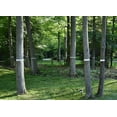 thumbnail image 5 of APT Insect Barrier Tree Tape, Sticky Bands for Trees, Weatherproof, 2" x 30 yards, 1 Roll/Pack, 5 of 5
