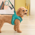 thumbnail image 4 of Magshion No Pull Dog Harness with Leash, No Choke Reflective Pet Vest Adjustable Breathable Mesh Harnesses Dogs Walking, Lawn Green XS, 4 of 10