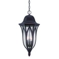thumbnail image 1 of Three Light Outdoor Hanging Lantern, 1 of 1
