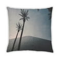 thumbnail image 2 of Ahgly Company Plants Palm Tree Outdoor Throw Pillow, 18 inch by 18 inch, 2 of 6