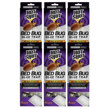 Hot Shot Bed Bug Glue Trap Hot Shot Bed Bug Glue Trap