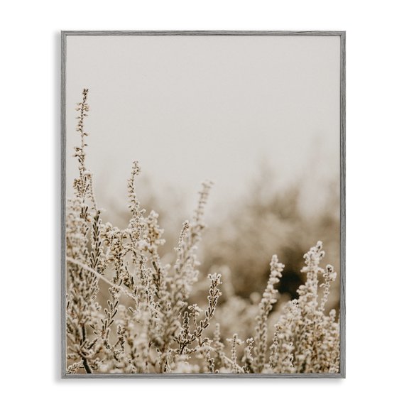 Stupell Industries Cottage Tranquil Wildflower Meadow Blooms Gray Framed Giclee Art, 11 x 14, by Leah Straatsma