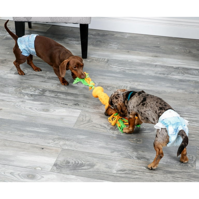 10 Easy to Make DIY Dog Toys - Puppy Leaks