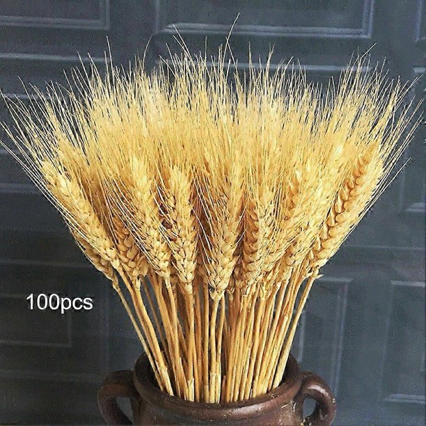 100pcs Artificial Natural Wheat Dried Flowers Bouquet Simulation Plant Living Room Decoration