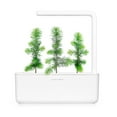thumbnail image 2 of Click & Grow The Smart Garden 3, 2 of 11