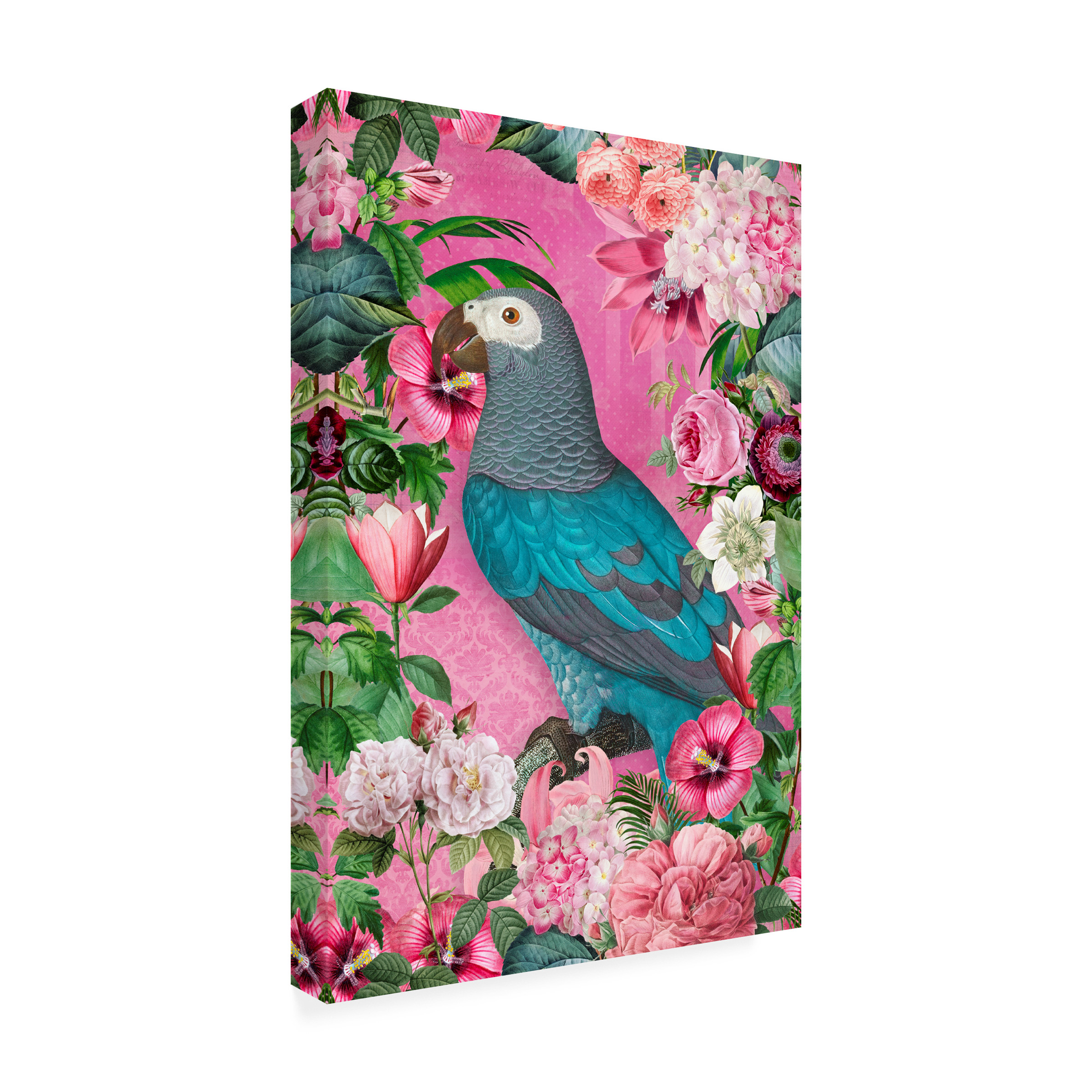 Andrea Haase 'The Parrots Paradise Garden' Canvas Art