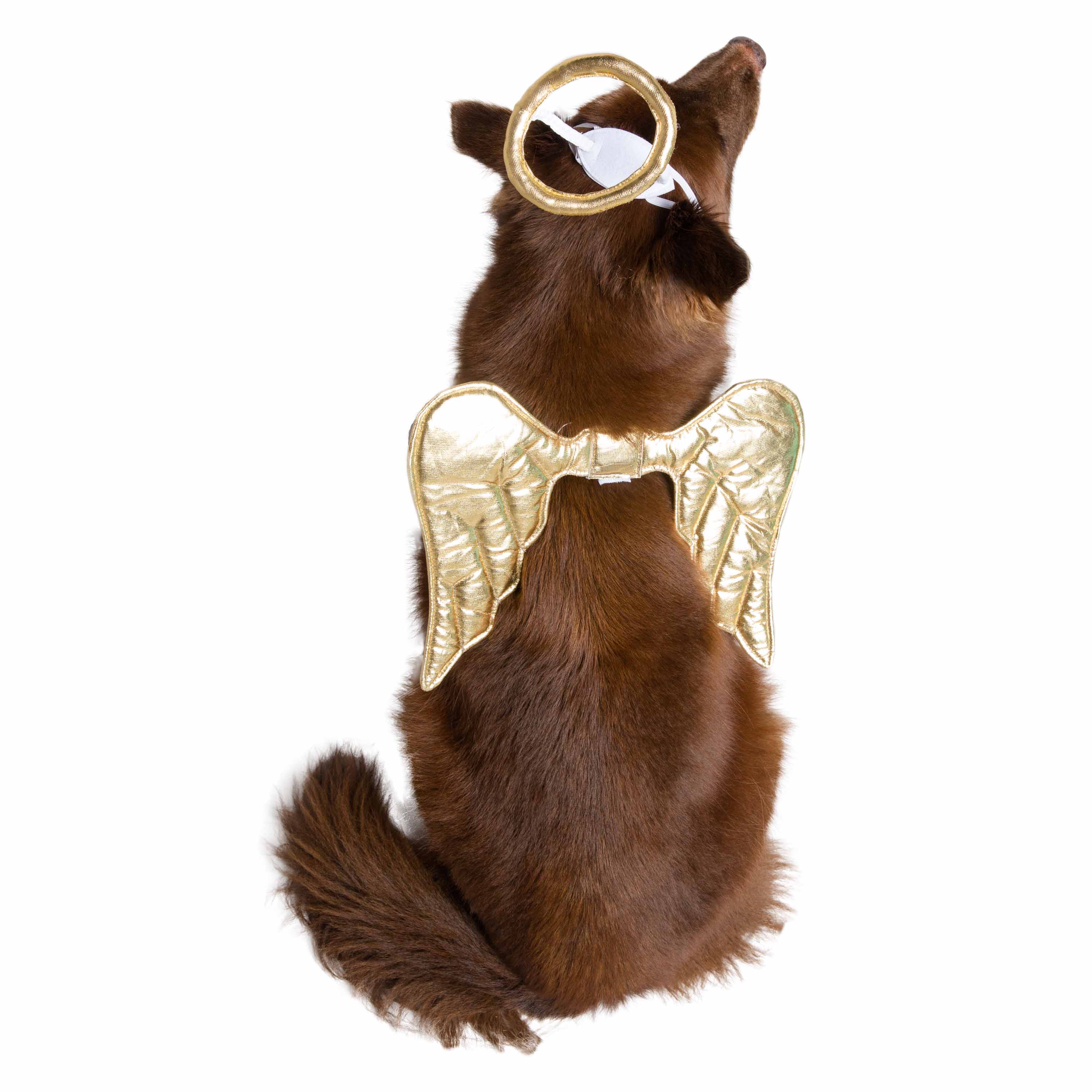 Pet Krewe Angel Dog Costume - Dog Angel Wings - Harness Attachment, One Size Fits All - image 2 of 8
