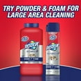 Resolve Carpet Spot & Stain Remover Carpet Cleaner, 16 oz (Pack of 2