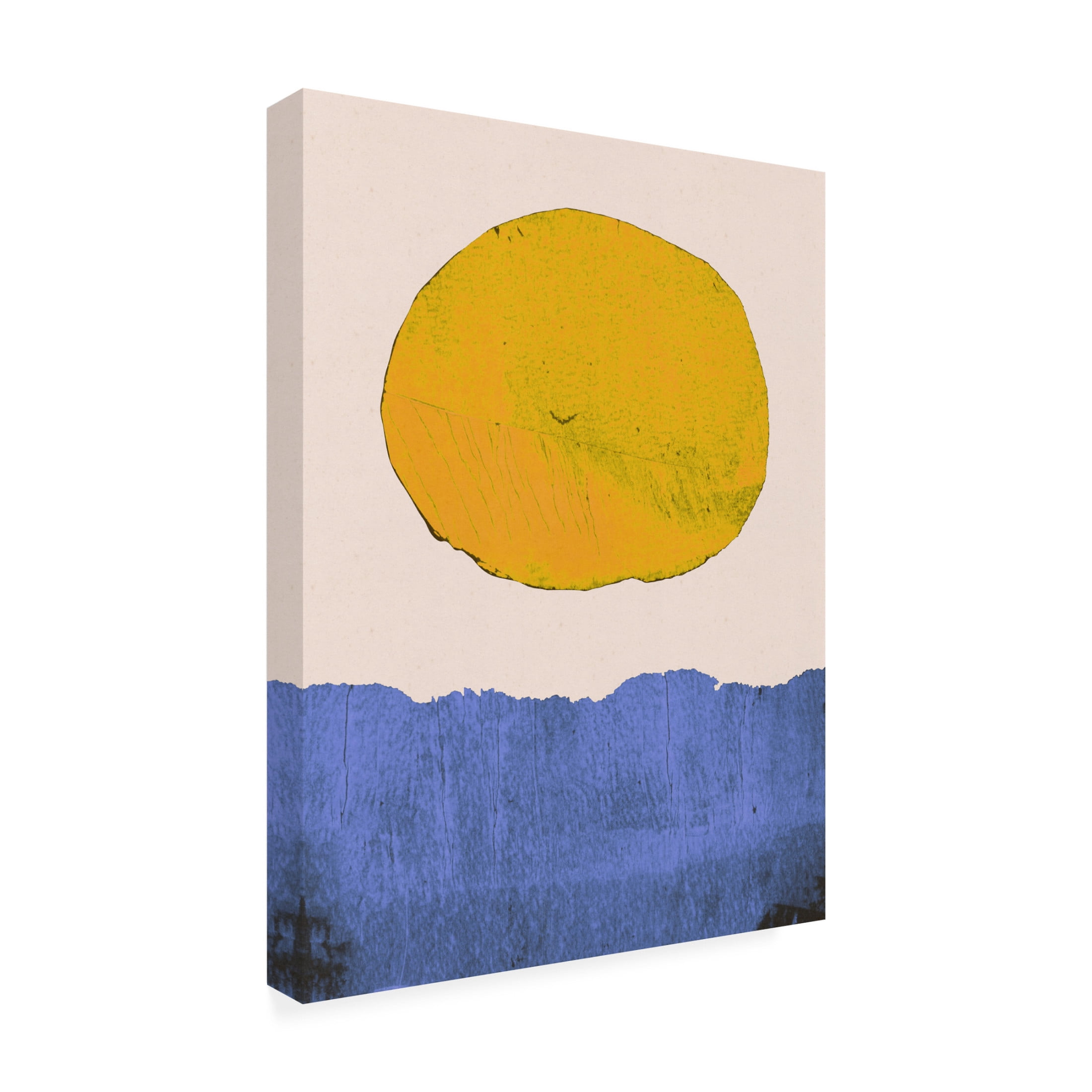 Trademark Fine Art Alisa Galitsyna Summer Sun Canvas Wall Art