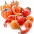 thumbnail image 5 of 24pc Foam Pumpkins and Gourds Set - for Fall Decor - Factory Direct Craft, 5 of 5