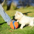 thumbnail image 2 of Chuckit! Large Kick Fetch Ball Dog Toy, 2 of 12