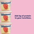 thumbnail image 5 of Tillamook Washington Raspberries Good & Creamy Raspberry Low Fat Yogurt, 6 oz, 5 of 14