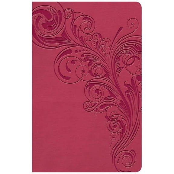 KJV Large Print Personal Size Reference Bible, Pink Leather Touch Indexed