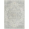 thumbnail image 2 of Hauteloom Nessa Living Room, Bedroom Area Rug - Traditional - Light Gray - 5'3" x 7'7", 2 of 8