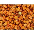 thumbnail image 5 of Set 2 Orange Habanero Pepper Plants Live Chili Hot Peppers Plant 5-7"Tall, No Pot, 5 of 5