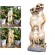 thumbnail image 2 of Estatuas Esculturas Lindo conjunto de escultura de mangosta de resina ornamental figurita estatua miniatura Jardín de hadas Oficina escritorio Decoración Magideal Estatuas Esculturas, 2 of 8