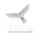 thumbnail image 3 of Picos para pájaros para palomas, pájaros pequeños, picos de Metal para pájaros, picos antipájaros, picos para cercas de acero inoxidable, 3 of 4
