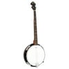 PylePro 5 String Banjo with White Jade Tune Pegs and Rosewood Fretboard