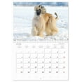 thumbnail image 5 of Children of the Wind - Afghan Hound (Monthly Wall Calendar 2026 16.5 x 23.4 (open)), CALVENDO 14 Month Calendar, 5 of 9