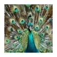 thumbnail image 4 of Acheng Peacock Feathers Square Tablecloth Great for Home Kitchen/Parties/Holiday Dinner 100% Polyester Fiber 36*36, 4 of 8