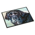 thumbnail image 1 of Carolines Treasures 7419JMAT Tapis Intérieur Ou Extérieur Visage Labrador Noir 24 x 36 Po., 1 of 4