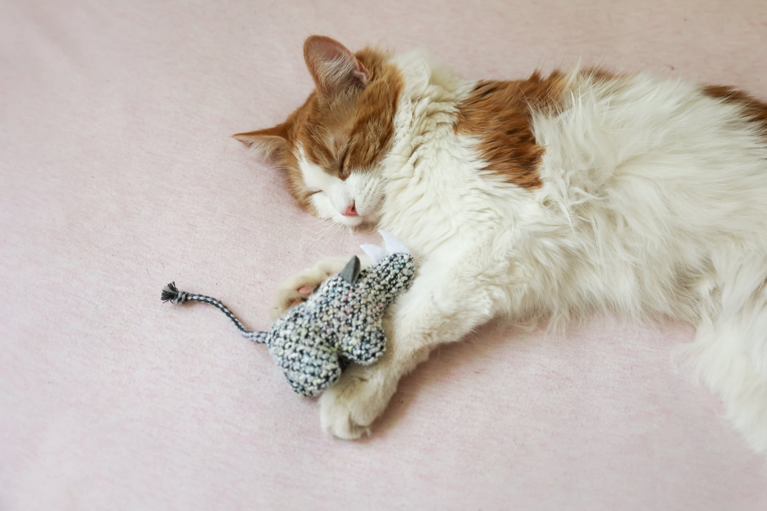 Vibrant Life Knit Animals Cat Toy, 2 Pack
