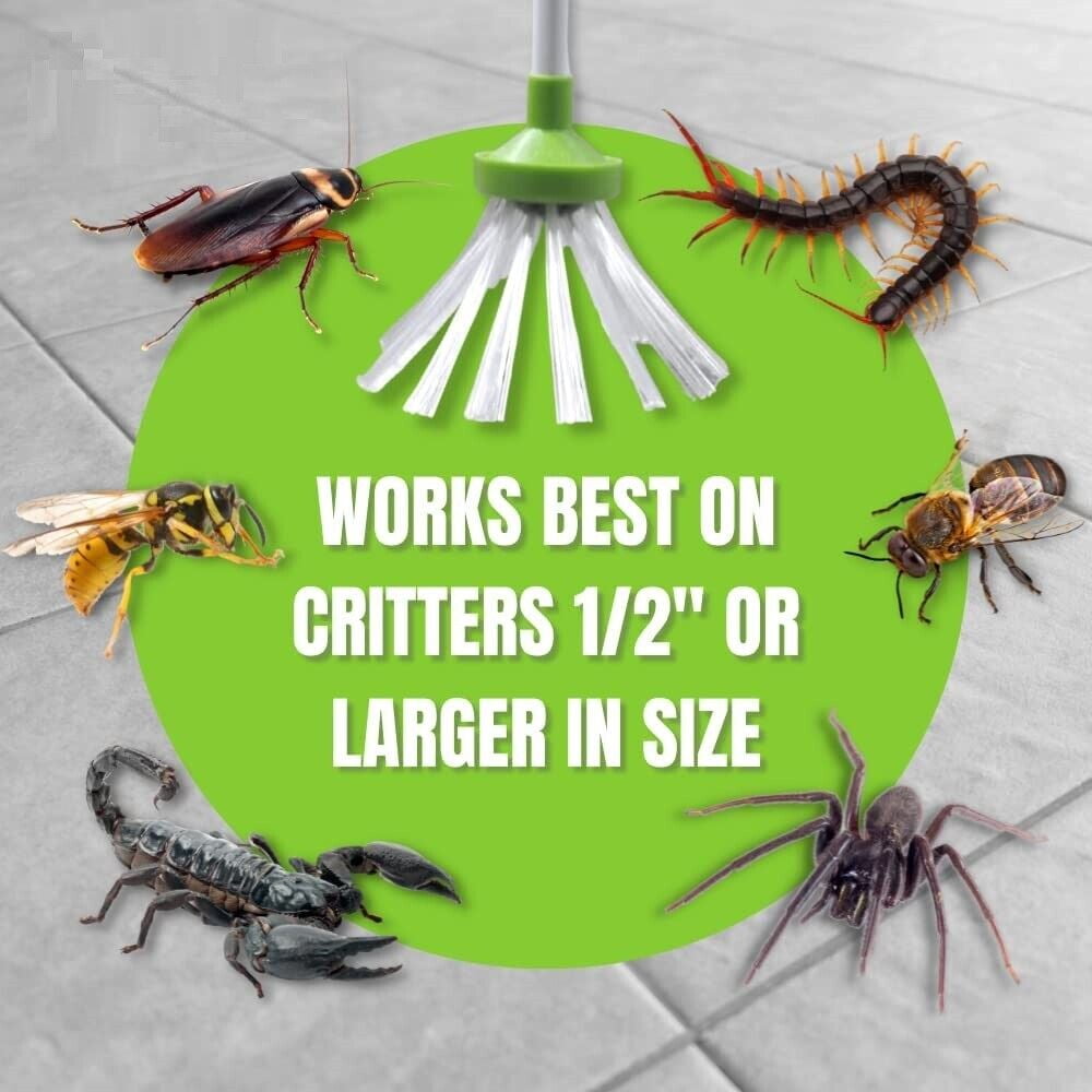 JahyShow Catcher 2 packs - Spider and Insect Catcher Green Use for the safe handling