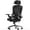 Black, variant on CONCETTA Ergonomic High Back Office Chair with Adjustable Lumbar Support, Headrest for Adults, Black