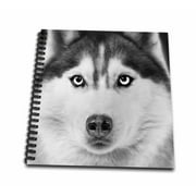3dRose Siberian husky - Mini Notepad, 4 by 4-inch