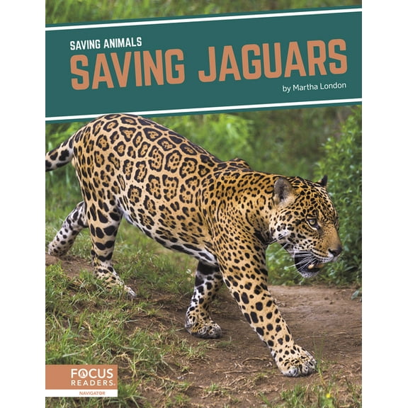 Saving Jaguars (Paperback)
