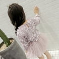 thumbnail image 3 of One opening 2020 2-6Y Toddler Kids Baby Girls Princess Dress Flowers Long Sleeve Tulle Ball Gown Pegeant Party Tutu Dress Autumn Clothes, 3 of 3