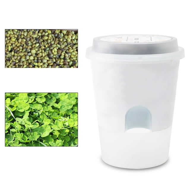 Coofit Kit de Plantation Créatif pour Enfants