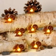 thumbnail image 4 of Christmas Squirrel Plus String Lights, 10ft Silver wire 30 Big Icon Leds Battery Powered with Remote Control for Indoor Outdoor Fall Party, Thanksgiving Holiday, Home Fairy Decorations Lighting, 4 of 7