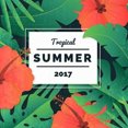 thumbnail image 4 of Paokuoon Pillow Cover Tropical Greenery Pillow Case proof Washable Tear Resistant, 4 of 7