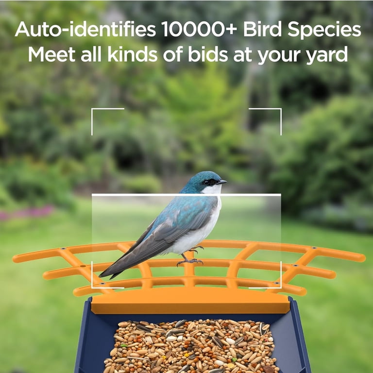 Smart Bird Feeder With Camera, 2.5K Solar Bird Feeder