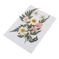 thumbnail image 4 of Abbracc Assorted Natural Real Pressed Dried Flowers/Pressed Leaves For Resin Jewelry B, 4 of 9