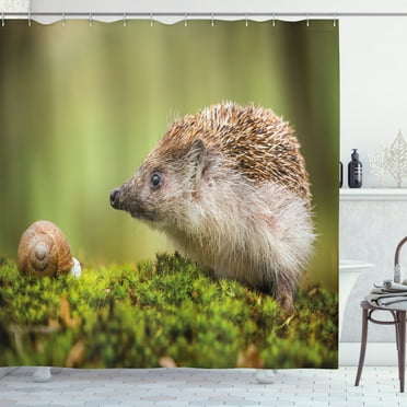 Ambesonne Hedgehog Shower Curtain, Eastern Europe Scene, 69"Wx84"L, Green Brown