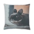 thumbnail image 2 of Ahgly Company Animals Rabbit Outdoor Throw Pillow, 18 inch by 18 inch, 2 of 6