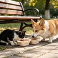 thumbnail image 4 of Folding Silicone Dog Double Bowl, Portable Pet Food and Water Bowl for Outdoor Travel Walking Hiking (1PC, White), 4 of 8