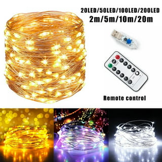Wholesale christmas light controller for Trendy and Adjustable