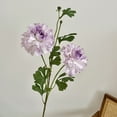 thumbnail image 4 of 30.7in Artificial Peonies Flowers Branch, 2 Heads Silk Peonies with Long Stems, Fake Single Stem Peony Bouquet for Wedding Party Table Centerpieces Floral Arrangement Home Kitchen, 4 of 7