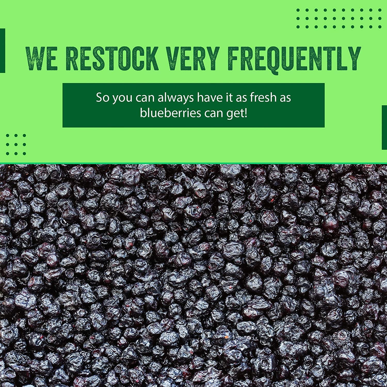 Whole Dried Blueberries- 48 oz American -Kosher Batch Tested Gluten and Peanut Free - I'M A NUT