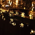 thumbnail image 4 of Guirnalda de luces solares con forma de flor de Dinheiro, decoración de luces de hadas impermeables para exteriores, 4 of 6
