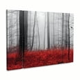 thumbnail image 2 of Trademark Fine Art 'Little Red Carpet' Canvas Art by Philippe Sainte-Laudy, 2 of 3