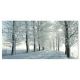 thumbnail image 1 of Designart Winter Trees Backlit by Morning Sun Canvas Wall Art, 1 of 4