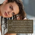 thumbnail image 3 of Pure Body Naturals 100% Pure Rosemary Essential Oil, 1 Fl. Oz., 3 of 8