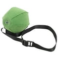 thumbnail image 3 of Lishi Smart Golf Ball Swing Trainer - Improve Your Posture and Swing with Fixed Arm Assist, 3 of 18